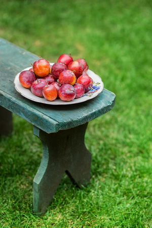 red plums in plate on wooden backgroundの写真素材