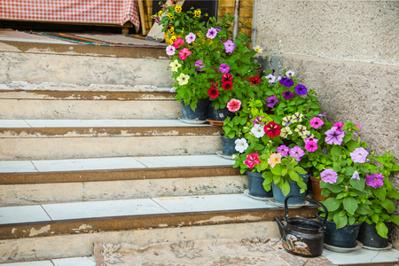 Flowers on the porch of the houseの写真素材