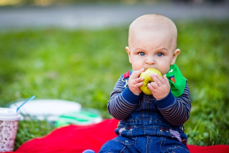A small child bites a large green apple .の写真素材