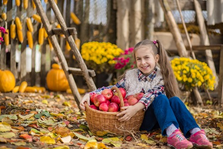Autumn gathering apples on the farm. Children collect fruit in the basket. Outdoor fun for kids. Autumn harvest of apples, pumpkins.の写真素材