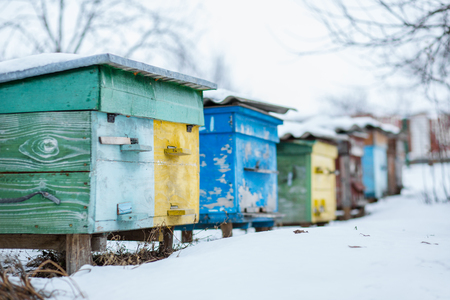 Group beehives in the winter garden with snow covering. Unpacking Beehives After Winter.の写真素材