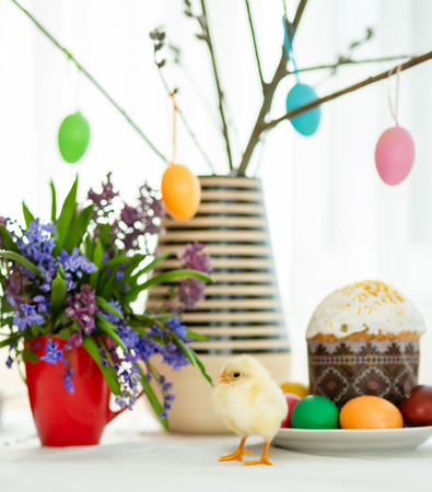 One live chicken near the Easter cakes on the background of painted eggs and Easter decor.の写真素材