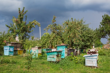 A group of swarm of bees on an old wooden beehive in a farm garden. Apiary, swarm, sheltered from the wind and with a good stay in the sun.の写真素材