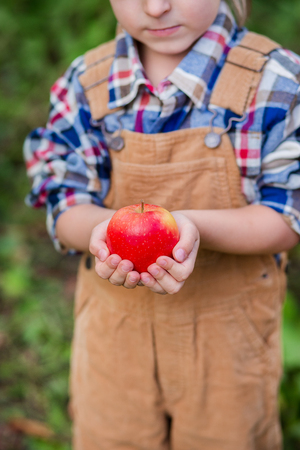 Portrait of one cute boy in a hat in the garden with a red apple, emotions, happiness, food. Autumn harvest of apples.の写真素材