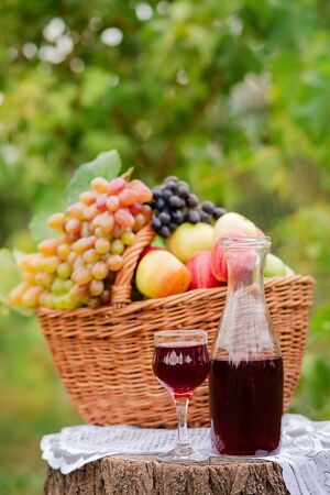Arrangement in the garden with blue and green grapes, a basket, a glass of red drink and a bottle on the table against the background of the garden. Still life with fruit.の写真素材