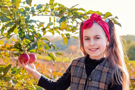 Portrait of a cute girl in a farm garden with a red apple in her hands.の写真素材