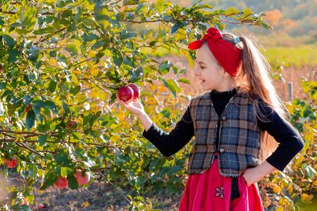 Portrait of a cute girl in a farm garden with a red apple in her hands. Autumn harvest of apples.