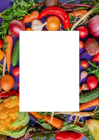 Composition with raw vegetables, tomatoes, peppers, carrots, eggplant, onions on a blue background. Frame of vegetables, copy space for texts.の写真素材
