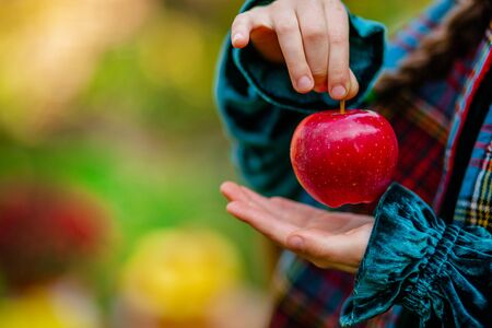 A girl holding a red apple in her hands in the autumn garden on a blurred background, place for text. Harvesting organic apples.の写真素材