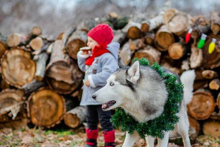 Little girl and boy play and eat cookies at the Christmas tree outdoors. Children play outside on a frosty day. Fun outdoors for a family Christmas break.の写真素材