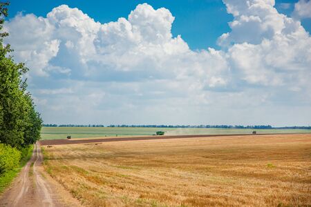 Harvester in the field harvest. Rural landscape of sky and field. Farm equipment.
