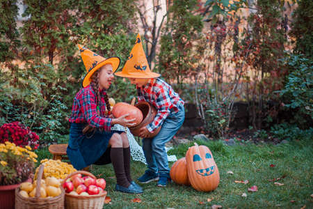 Brother and sister play in the Autumn Garden, surrounded by fruits of vegetables and fruits. Celebrating the Autumn Harvest.の写真素材