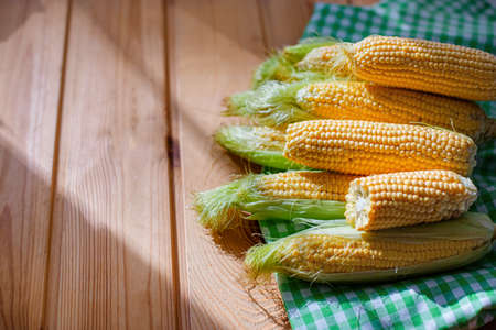 Group sweet corn on the table. Fresh corn on cobs on rustic wooden table, closeup