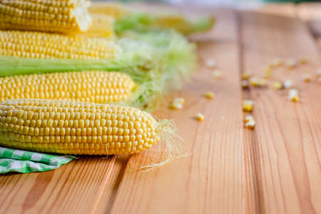Group sweet corn on the table. Fresh corn on cobs on rustic wooden table, closeup