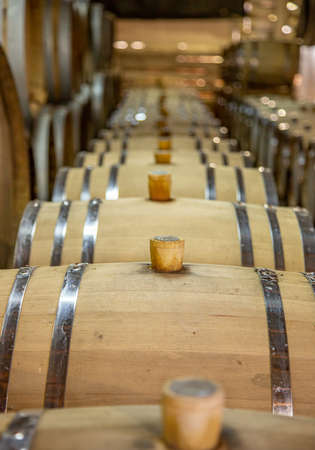 Wine production. Wooden wine barrels are found at the winery. They are ready to pour or are already...