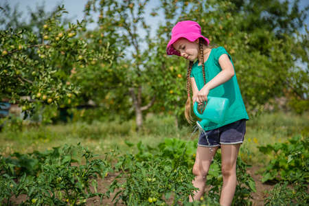 Gardening - nice girl watering plants in the garden. Summerの写真素材