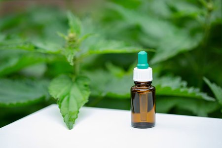 Glass bottle of stinging nettle on blurred background of green nettle bushes, copy space.の写真素材