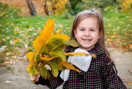 Little girl holding yellow autumn leaves, smiling in outdoor park. Seasonal joy and child happiness conceptの写真素材