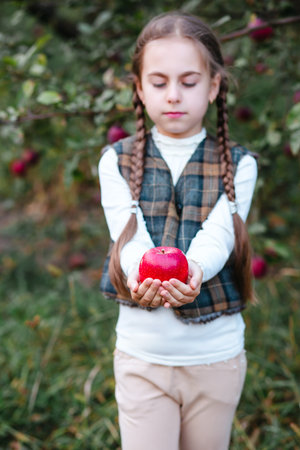Cheerful girl with braided hair holds red apple in both hands, standing in lush apple orchard, symbolizing harvest, health, and childhood joy.の写真素材