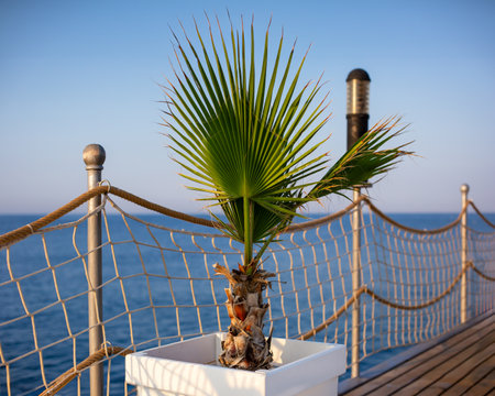 Coconut palm trees, tropical background, vintage filter. Large Green Tropical Leaves, copy space, bannerの写真素材