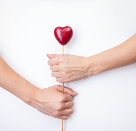 Hands Holding Heart-Shaped Apple. Close-up of hands gently holdingの写真素材