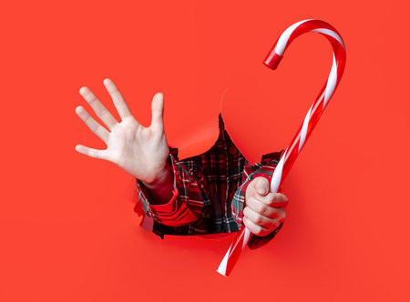 Merry Christmas. Two hands in plaid sleeves hold a large red and white striped candy cane through torn red paper background.の写真素材