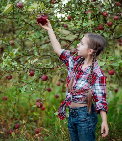 Beautiful girl apple in organic apples in orchard. Girl eating organic apple in garden. Harvest...