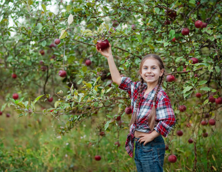 Beautiful girl apple in organic apples in orchard. Girl eating organic apple in garden. Harvest Concept. Autumn harvest apples picking.の写真素材