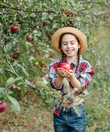Beautiful girl apple in organic apples in orchard. Girl eating organic apple in garden. Harvest Concept. Autumn harvest apples picking.の写真素材