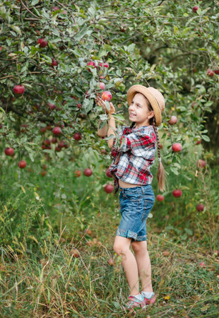 Cheerful girl stands on background an apple orchard with red apples, tastes, enjoys snacks,...