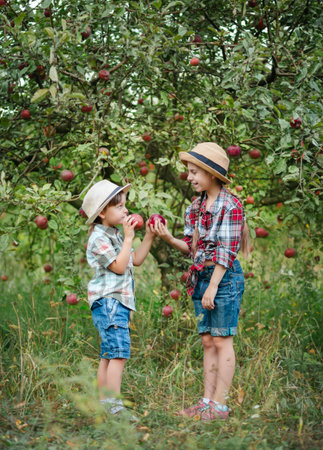 Cheerful boy and girl standing in apple orchard with red apples in hands, children dressed in checkered shirts and hats. Family on picnic, snacks, vitamins, organic fruits. Autumn apple harvest.の写真素材