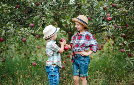 Cheerful boy and girl standing in apple orchard with red apples in hands, children dressed in...