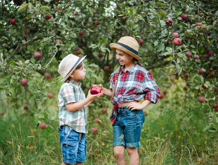 Cheerful boy and girl standing in apple orchard with red apples in hands, children dressed in checkered shirts and hats. Family on picnic, snacks, vitamins, organic fruits. Autumn apple harvest.の写真素材