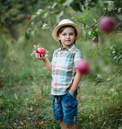 Cute joyful boy in hat stands in the middle of an apple orchard with red apple in his hands, snack, vitamins, organic fruits. Harvest concept. Harvesting autumn apple harvest.の写真素材