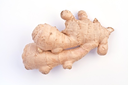Ginger  isolated on a white backgroundの写真素材