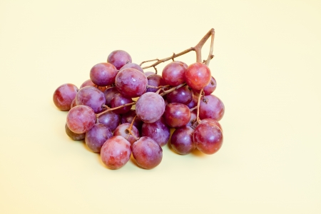 Bunch of black grapes isolatedの写真素材