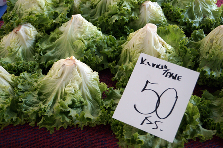 iceberg lettuceの写真素材