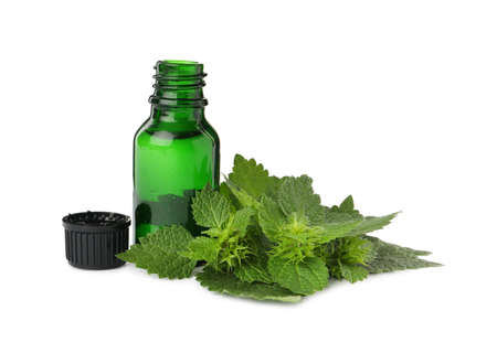 Glass bottle of nettle oil with leaves isolated on white