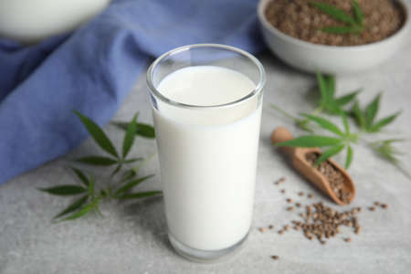 Hemp milk, seeds and fresh leaves on light grey tableの写真素材
