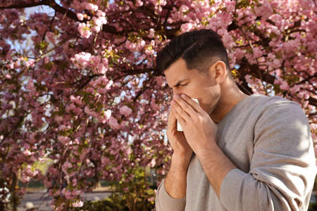 Man suffering from seasonal pollen allergy near blossoming tree outdoorsの素材 [FY310171980845]