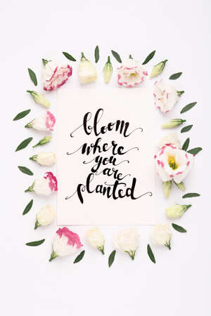 Frame of beautiful flowers and paper card with handwritten text Bloom where you are planted on white background, flat layの写真素材