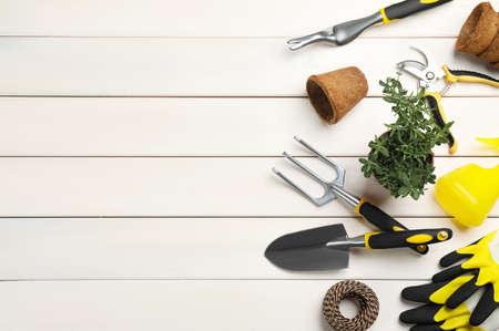 Flat lay composition with gardening tools and green plant on white wooden background, space for textの写真素材
