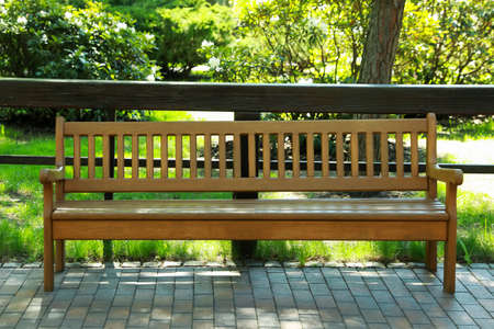 Beautiful view of wooden bench in park