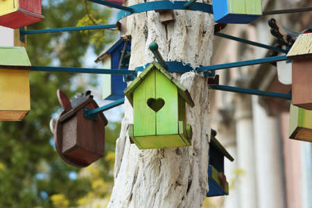 Lots of colorful wooden bird houses on tree outdoorsの写真素材