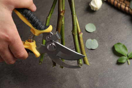 Florist cutting flower stems with pruner at gray stone table, closeup