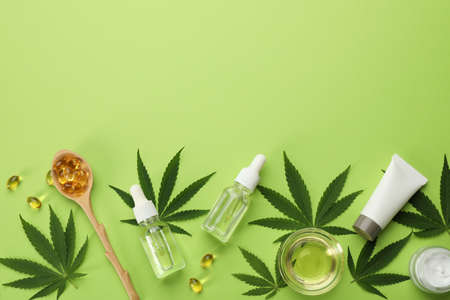 Flat lay composition with hemp leaves, CBD oil and THC tincture on green background, space for text