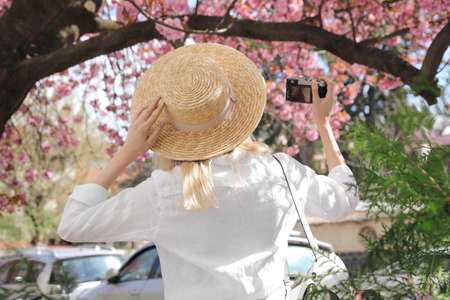 Female tourist taking photo of blossoming tree on city street, back viewの写真素材
