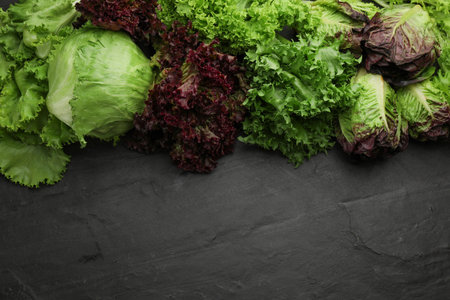 Different sorts of lettuce on black slate table, flat lay. Space for textの写真素材