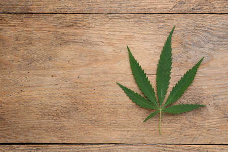 Fresh green hemp leaf on wooden table, top view. Space for textの写真素材