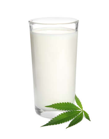 Glass of hemp milk and green leaf on white backgroundの写真素材
